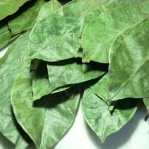 Foglie di Graviola Selvatica Essiccate